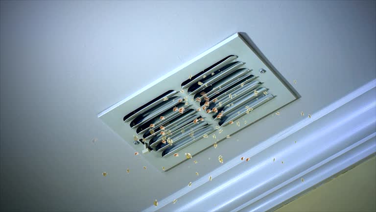 Best HVAC Duct Inspection Services  in Wyandotte, MI