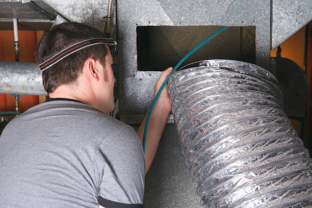 Best Affordable Duct Cleaning Services  in Wyandotte, MI