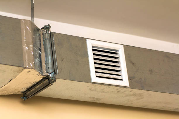 Best Air Duct Cleaning Near Me  in Wyandotte, MI