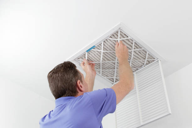 Air Duct Mold Removal in Wyandotte, MI